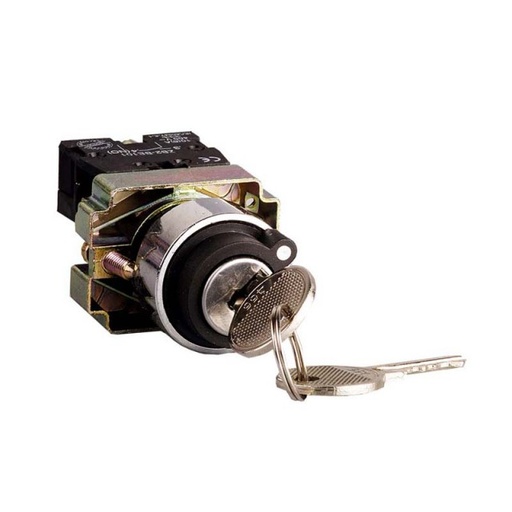 INTERRUPTOR SWITCH MULETILLA CON LLAVE 2P