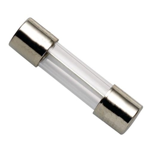 [1010] FUSIBLE VIDRIO CORTO 20A