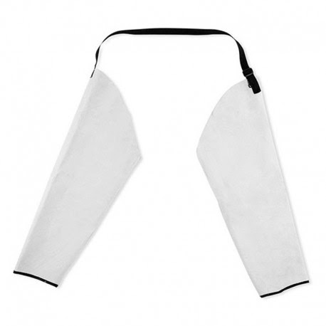 [1010] MANGAS EN CARNAZA