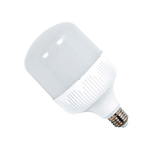 [1010] BOMBILLO LED 30W LUZ DIA E-27