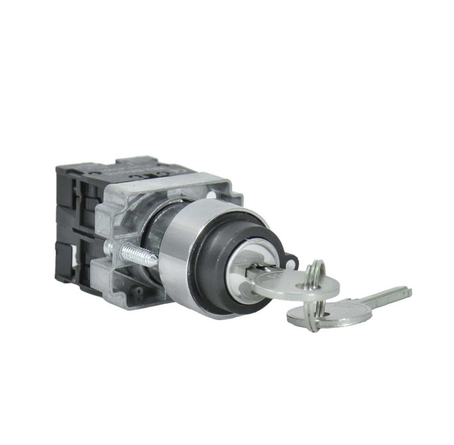 INTERRUPTOR SWITCH MULETILLA CON LLAVE 3P